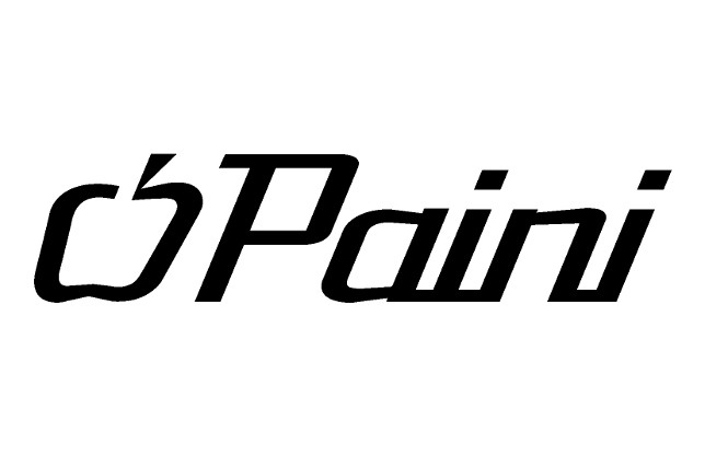 Paini